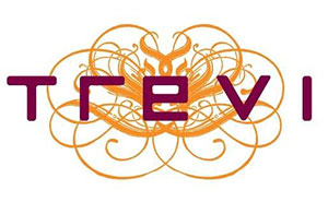 Design logo linked to TREVI Italian Restaurant website This image logo is used for TREVI Italian Restaurant link button